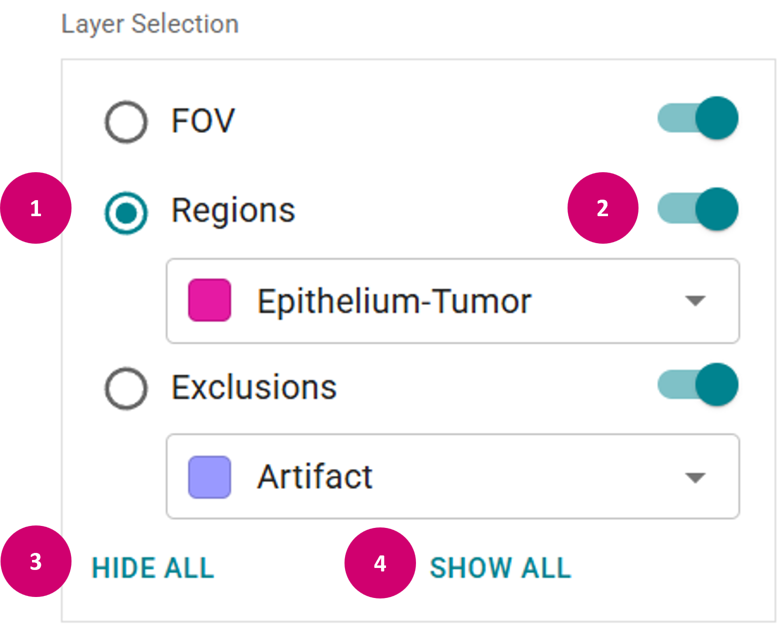 Layer selection for editing raster annotations