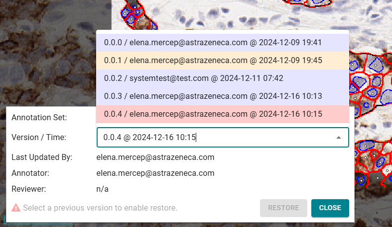 Restore raster annotation